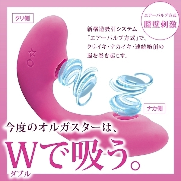 ���z������I���K�X�^�[�v�z���@�i�s���N�j