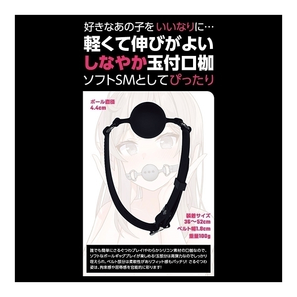 �r�l�V���R���ʕt���g�@�i�a�k�`�b�j�j