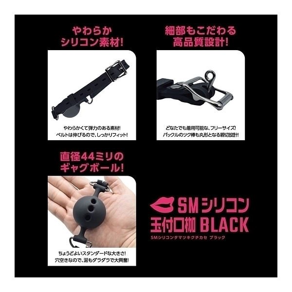 �r�l�V���R���ʕt���g�@�i�a�k�`�b�j�j