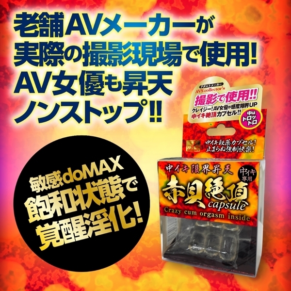 ���C�L���E���V�@�ԊL�Ⓒ��������������