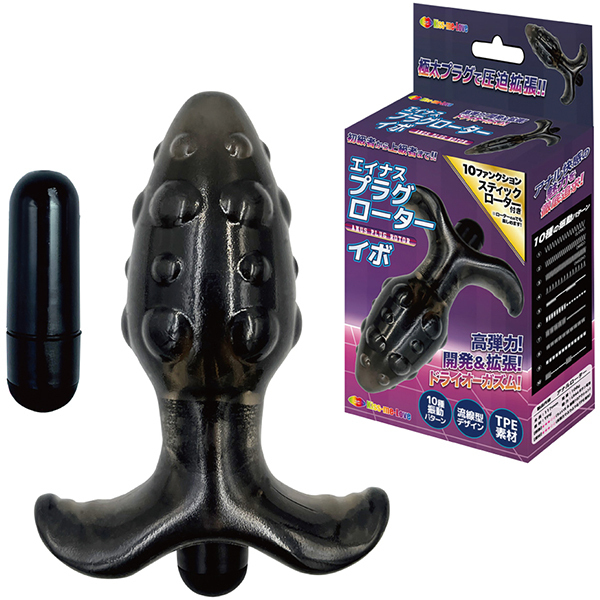 �G�C�i�X�v���O���[�^�[�@�i�C�{�j