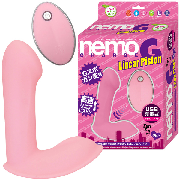 ���������@�f�@�k�����������@�o�����������@�i�s���N�j