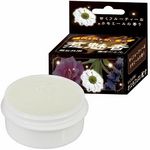 �È��W�F���@�䖣���i�Ђ݂��j�@�J���~�[��