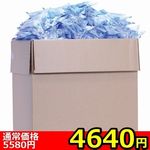 �y�S�U�S�O�~�����ʌ���z���t�����u���V�T�O�O�{�g������l�l�P�_���聄